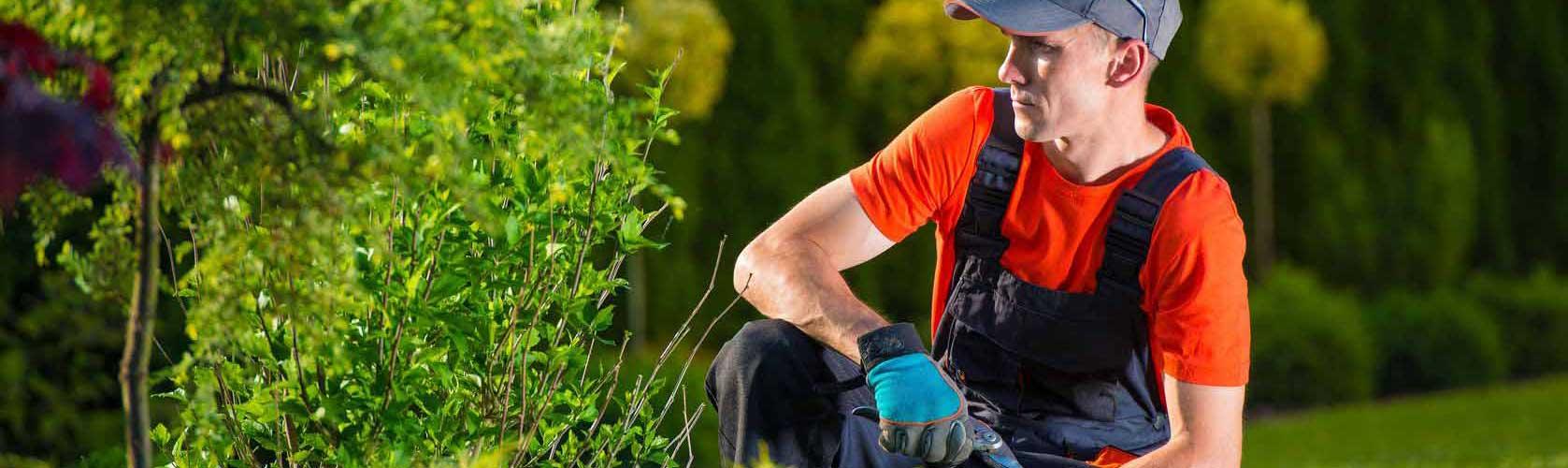 EMPRESA DE JARDINERÍA ARGANDA DEL REY